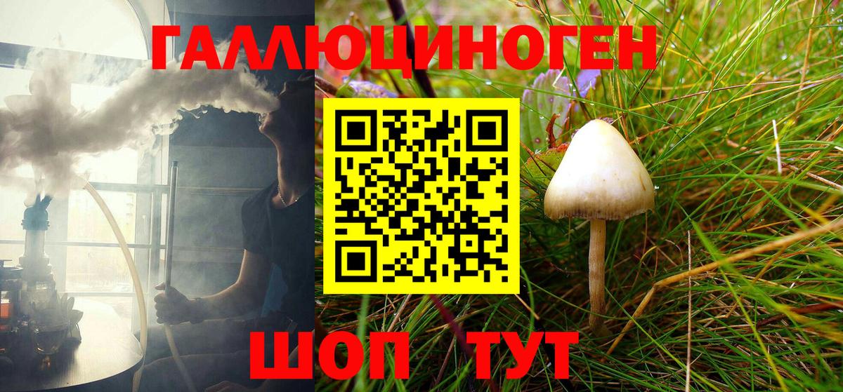 Псилоцибиновые грибы ЛСД Дмитров