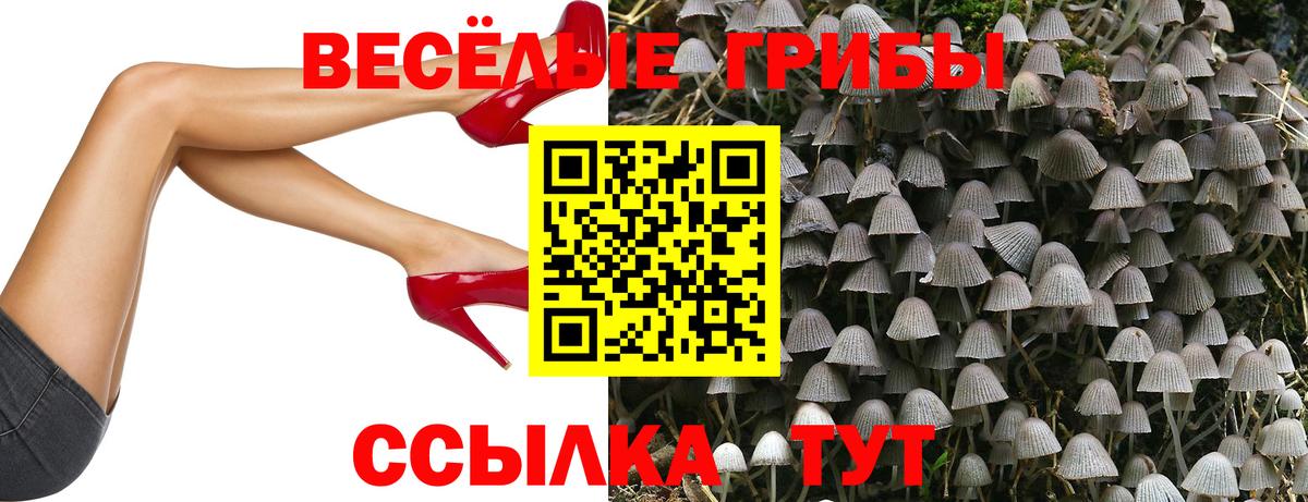 Псилоцибиновые грибы MAGIC MUSHROOMS  Вход с VPN  Дмитров 